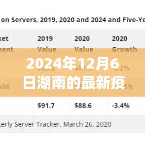 湖南新曙光，疫情下的自然之旅与内心力量的寻找，最新疫情动态报告（XXXX年XX月XX日）