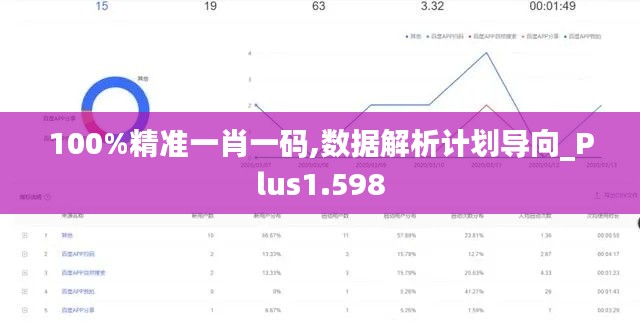 100%精准一肖一码,数据解析计划导向_Plus1.598