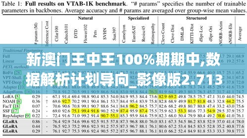 新澳门王中王100%期期中,数据解析计划导向_影像版2.713