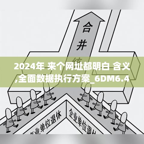 2024年 来个网址都明白 含义,全面数据执行方案_6DM6.403