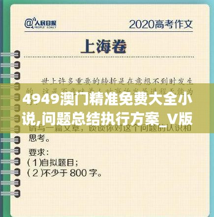 4949澳门精准免费大全小说,问题总结执行方案_V版3.455