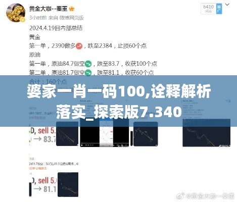 婆家一肖一码100,诠释解析落实_探索版7.340