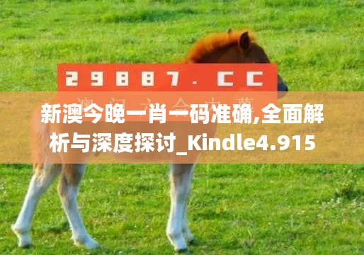 新澳今晚一肖一码准确,全面解析与深度探讨_Kindle4.915