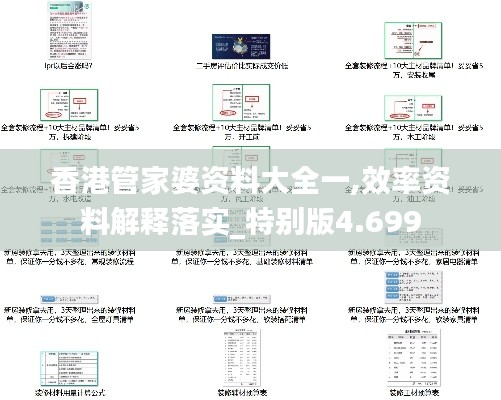 香港管家婆资料大全一,效率资料解释落实_特别版4.699