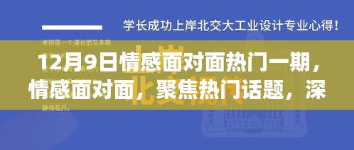 12月9日情感面对面热门一期，情感面对面，聚焦热门话题，深度解读情感观点——以某观点为例的探讨