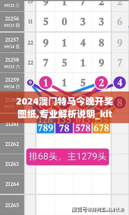 2024澳门特马今晚开奖图纸,专业解析说明_kit5.561