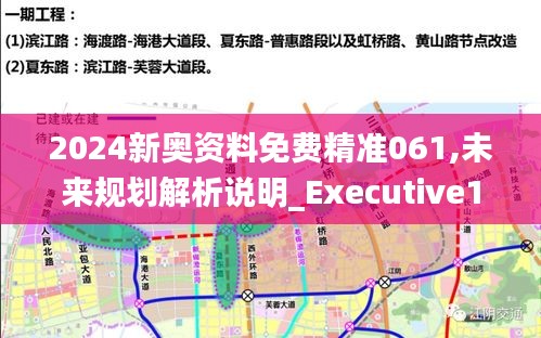 2024新奥资料免费精准061,未来规划解析说明_Executive13.830