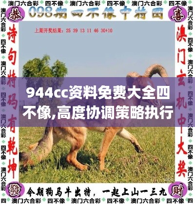 944cc资料免费大全四不像,高度协调策略执行_SHD2.826