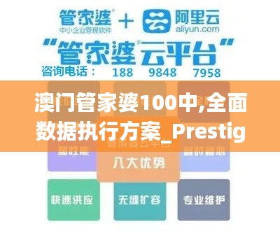 澳门管家婆100中,全面数据执行方案_Prestige3.369