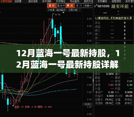 揭秘蓝海一号最新持股策略，详细指南与持股分析技巧