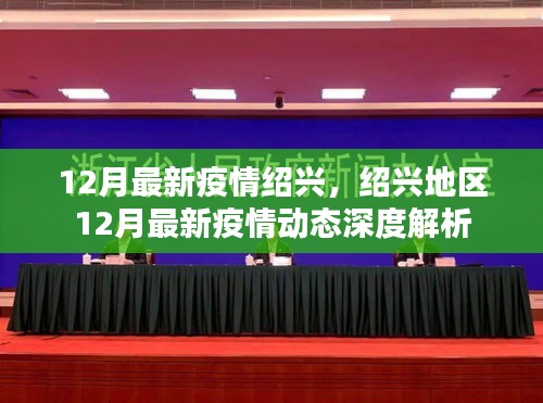 绍兴地区12月最新疫情动态深度解析与报告