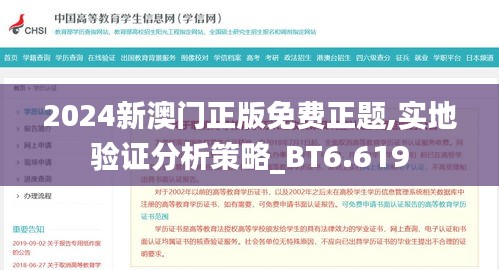 2024新澳门正版免费正题,实地验证分析策略_BT6.619