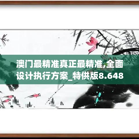 澳门最精准真正最精准,全面设计执行方案_特供版8.648