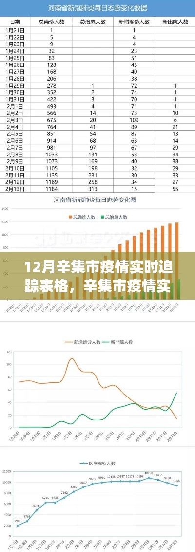 12月辛集市疫情实时追踪表格，辛集市疫情实时追踪报告——深度解析疫情发展态势