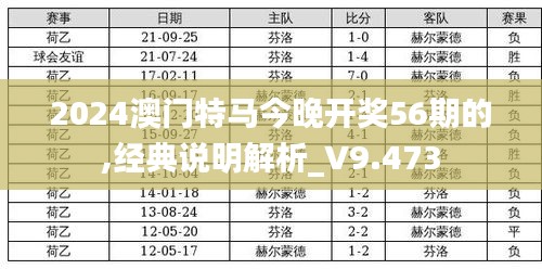 2024澳门特马今晚开奖56期的,经典说明解析_V9.473