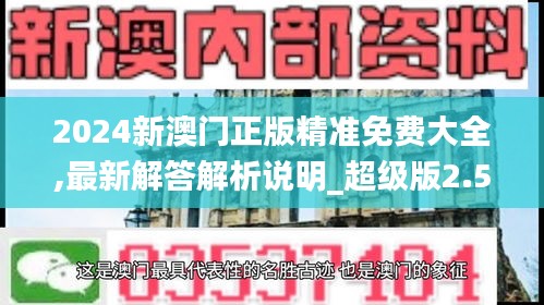 2024新澳门正版精准免费大全,最新解答解析说明_超级版2.588