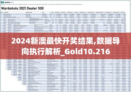 2024新澳最快开奖结果,数据导向执行解析_Gold10.216