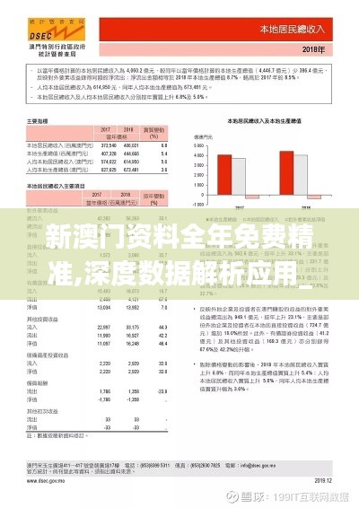 新澳门资料全年免费精准,深度数据解析应用_CT2.933