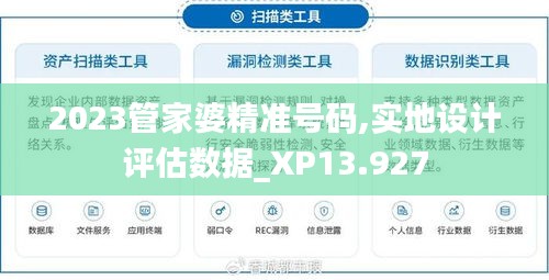 2023管家婆精准号码,实地设计评估数据_XP13.927