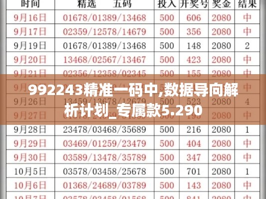 992243精准一码中,数据导向解析计划_专属款5.290