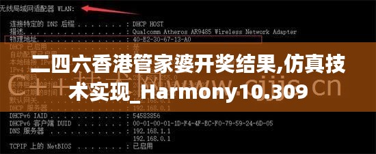 二四六香港管家婆开奖结果,仿真技术实现_Harmony10.309