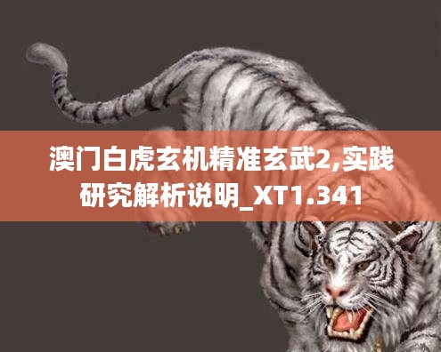 澳门白虎玄机精准玄武2,实践研究解析说明_XT1.341