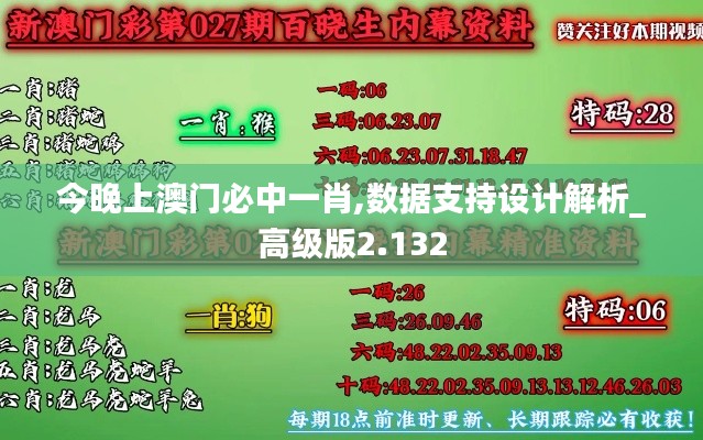 今晚上澳门必中一肖,数据支持设计解析_高级版2.132