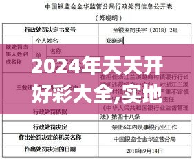 2024年天天开好彩大全,实地评估解析说明_4DM13.677