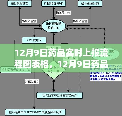 揭秘药品实时上报流程图，高效管理与监控的秘诀，详解药品上报流程表格（12月9日版）