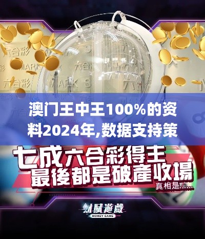 澳门王中王100%的资料2024年,数据支持策略解析_10DM1.711