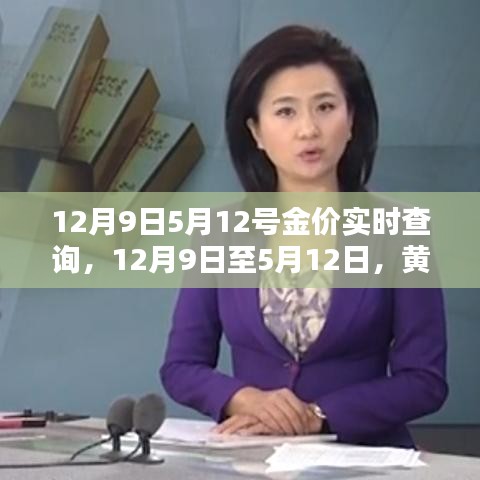 黄金价格走势深度解析及实时查询指南，从12月9日至5月12日的最新动态