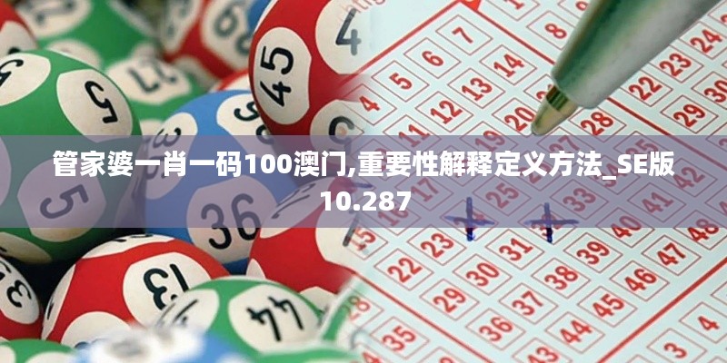 管家婆一肖一码100澳门,重要性解释定义方法_SE版10.287