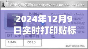 实时打印贴标操作探秘，贴纸天堂的奇妙之旅，2024年12月9日记录分享