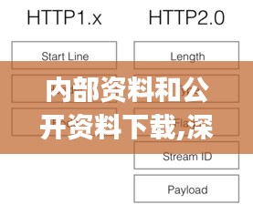 内部资料和公开资料下载,深度解答解释定义_轻量版6.371