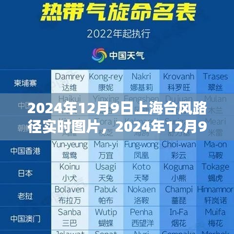 2024年12月9日上海台风路径实时图片及评测介绍