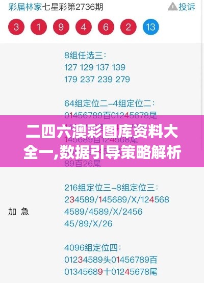 二四六澳彩图库资料大全一,数据引导策略解析_VR9.516