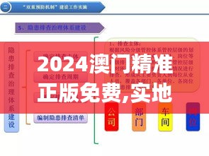 2024澳门精准正版免费,实地执行考察方案_Console7.393