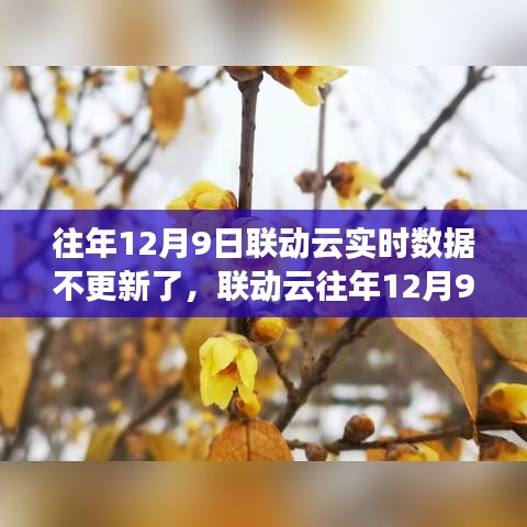 联动云往年数据暂停更新现象解析，聚焦12月9日实时数据暂停背后的原因与观点探讨