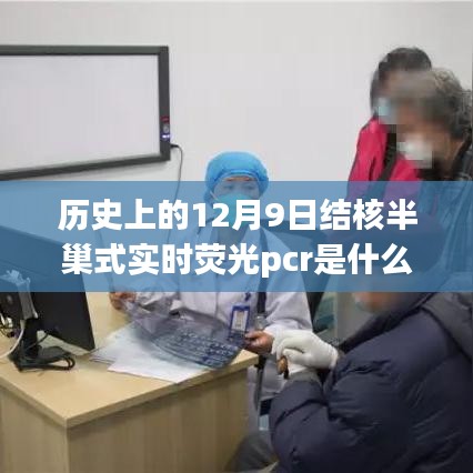 结核半巢式实时荧光PCR的探秘之旅，历史上的12月9日与技术的奇妙故事