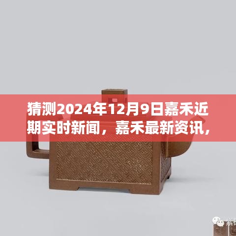 预测与获取2024年12月9日嘉禾实时新闻及最新资讯