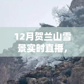 12月贺兰山雪景实时直播全攻略，直播观赏指南与精彩呈现