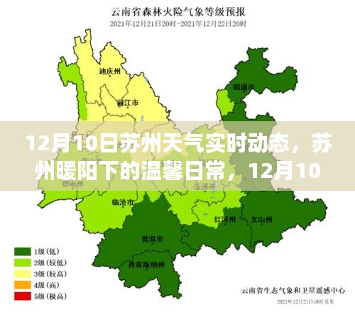 苏州暖阳下的友情故事，12月10日天气实时动态与温馨日常