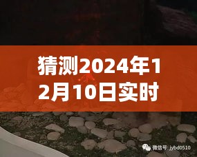 探秘隐藏宝藏，特色小吃馆扫店新发现之旅（2024年扫店实录）