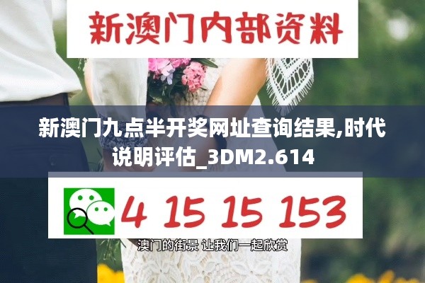 新澳门九点半开奖网址查询结果,时代说明评估_3DM2.614