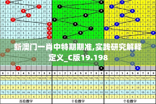 新澳门一肖中特期期准,实践研究解释定义_C版19.198