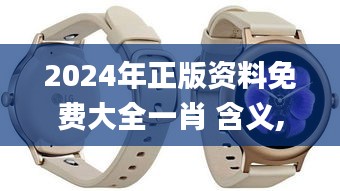 2024年正版资料免费大全一肖 含义,实践评估说明_watchOS2.993