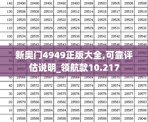 新奥门4949正版大全,可靠评估说明_领航款10.217