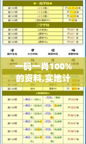 一码一肖100%的资料,实地计划验证策略_S13.769