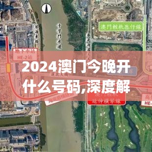 2024澳门今晚开什么号码,深度解答解释定义_手游版1.970