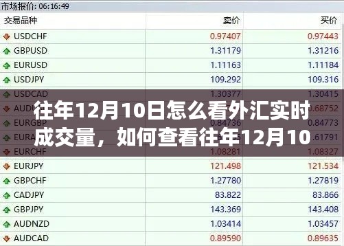 往年12月10日外汇实时成交量查看指南，步骤解析与操作教程